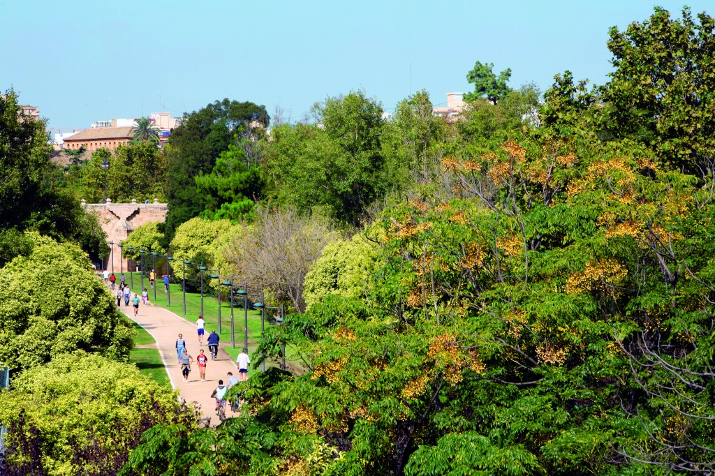 Jardines del Turia 1_M